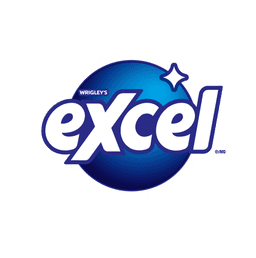 Excel Logo